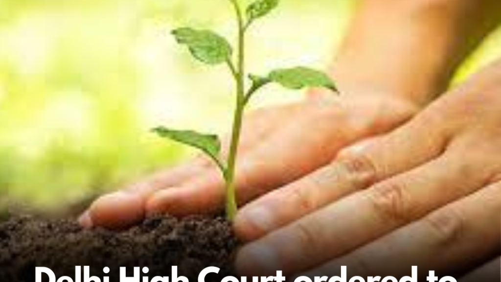 Delhi High Court ordered to do social work by planting trees while dismissing FIRs