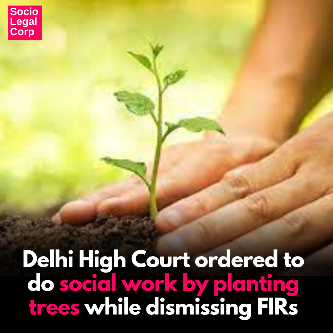 Delhi High Court ordered to do social work by planting trees while dismissing FIRs